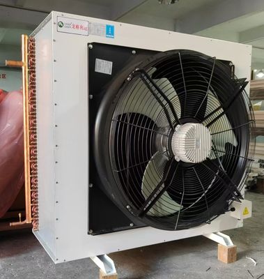 20 Kw bên thổi phân tán nhiệt bơm fluor condenser hệ thống làm mát khô